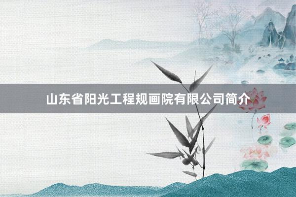 山东省阳光工程规画院有限公司简介